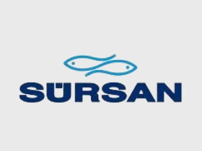 Sürsan - Samasun